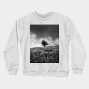 Single Tree on Dartmoor Crewneck Sweatshirt